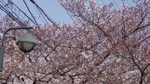 f:id:nobumichi02:20130330104312j:image:h150 f:id:nobumichi02:20130330104312j:image:h150