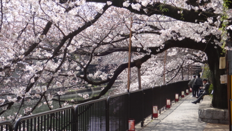f:id:nobumichi02:20130330105708j:image:h150 f:id:nobumichi02:20130330105708j:image:h150