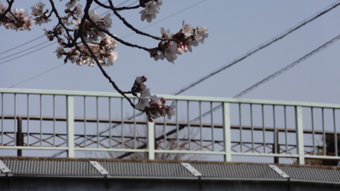 f:id:nobumichi02:20130330105920j:image:h150 f:id:nobumichi02:20130330105920j:image:h150