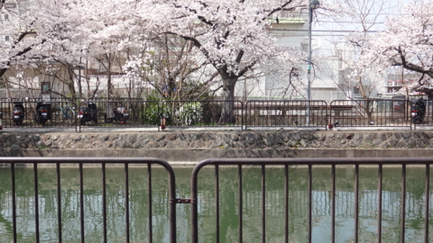f:id:nobumichi02:20130330113248j:image:h150 f:id:nobumichi02:20130330113248j:image:h150