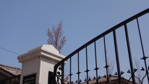 f:id:nobumichi02:20130330113833j:image:h150 f:id:nobumichi02:20130330113833j:image:h150
