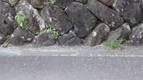 f:id:nobumichi02:20130413164619j:image:h150 f:id:nobumichi02:20130413164619j:image:h150