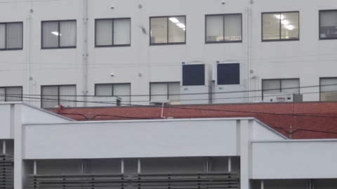 f:id:nobumichi02:20130815184004j:image:h150 f:id:nobumichi02:20130815184004j:image:h150