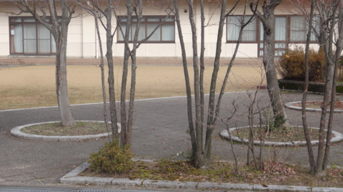 f:id:nobumichi02:20151206121618j:image:h150 f:id:nobumichi02:20151206121618j:image:h150