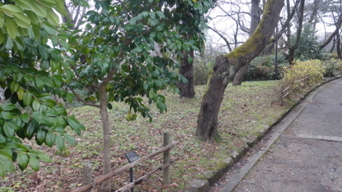 f:id:nobumichi02:20151223141459j:image:h150 f:id:nobumichi02:20151223141459j:image:h150