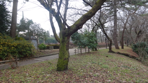 f:id:nobumichi02:20151223141704j:image:h150 f:id:nobumichi02:20151223141704j:image:h150