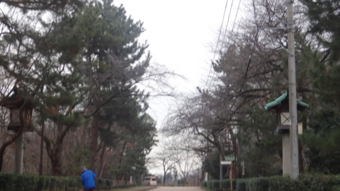 f:id:nobumichi02:20151223143721j:image:h150 f:id:nobumichi02:20151223143721j:image:h150