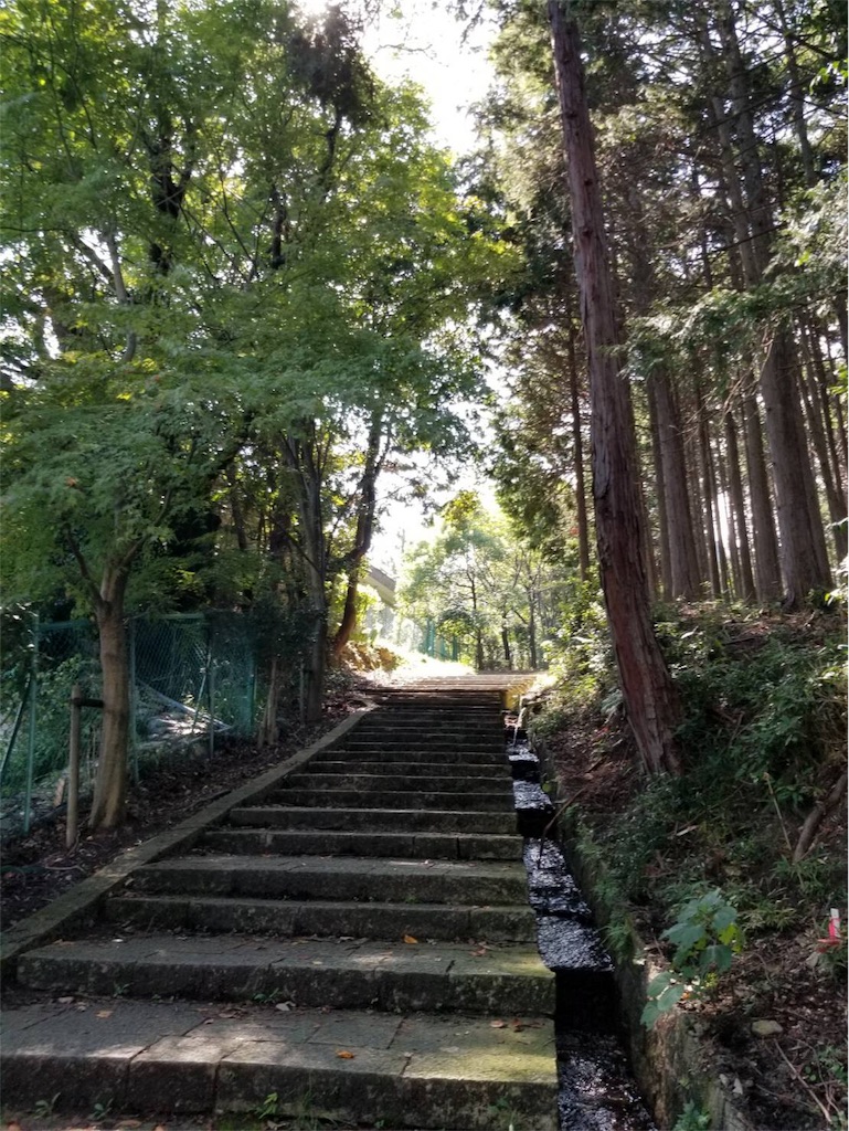 f:id:nobunobu1210:20190924205258j:image f:id:nobunobu1210:20190924205258j:image
