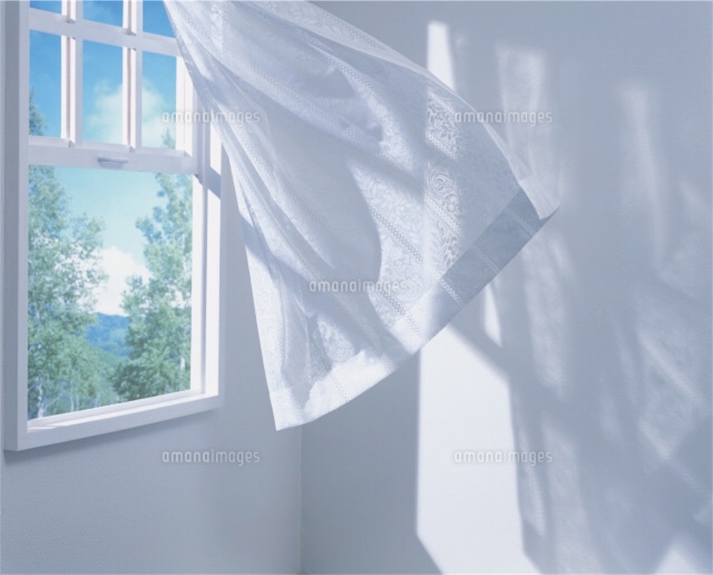 f:id:nobunobujyaa:20190419160552j:image f:id:nobunobujyaa:20190419160552j:image