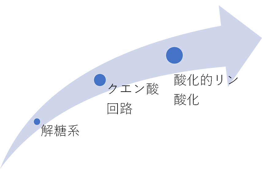 f:id:nobunostudy:20200912121210p:plain f:id:nobunostudy:20200912121210p:plain