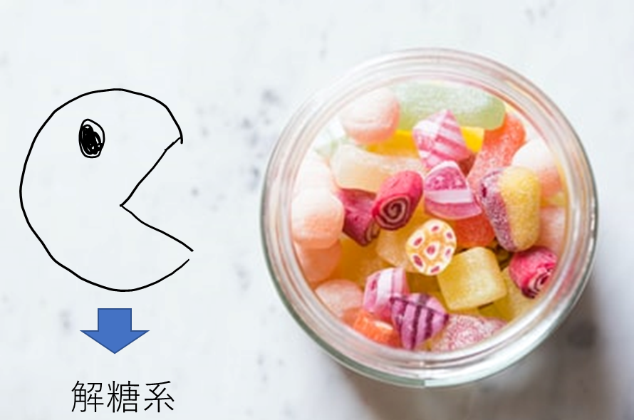 f:id:nobunostudy:20200912122031p:plain f:id:nobunostudy:20200912122031p:plain