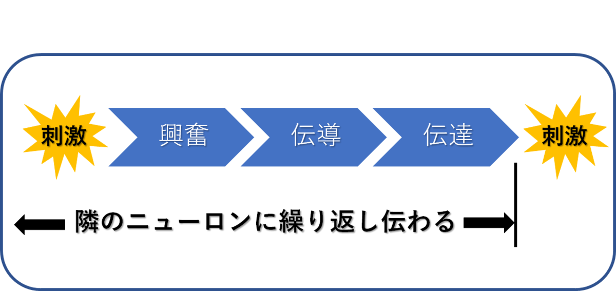 f:id:nobunostudy:20200919231548p:plain f:id:nobunostudy:20200919231548p:plain
