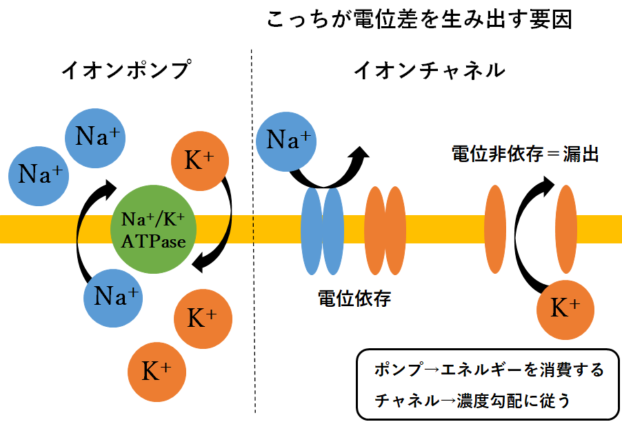 f:id:nobunostudy:20200920000240p:plain f:id:nobunostudy:20200920000240p:plain