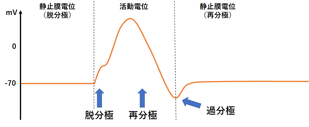 f:id:nobunostudy:20200921001933p:plain f:id:nobunostudy:20200921001933p:plain