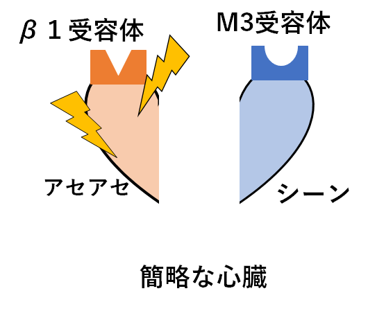 f:id:nobunostudy:20200922002134p:plain f:id:nobunostudy:20200922002134p:plain
