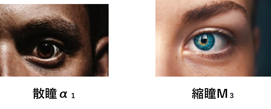 f:id:nobunostudy:20200922132546p:plain f:id:nobunostudy:20200922132546p:plain