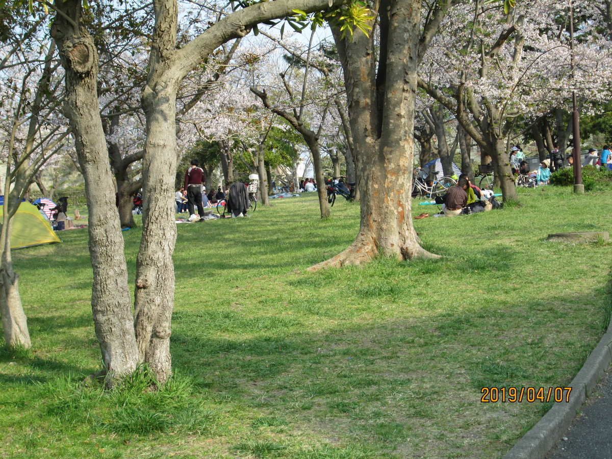 f:id:noburahamu:20190407152518j:plain f:id:noburahamu:20190407152518j:plain