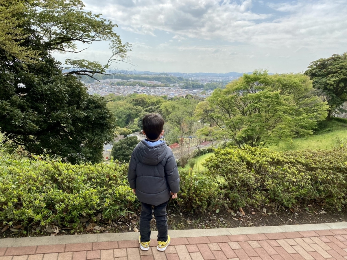 f:id:noburahamu2:20210412080654j:plain