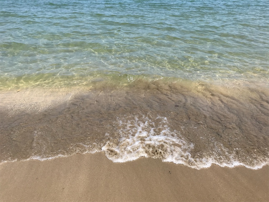 f:id:noburin5213chang:20180715225738j:image