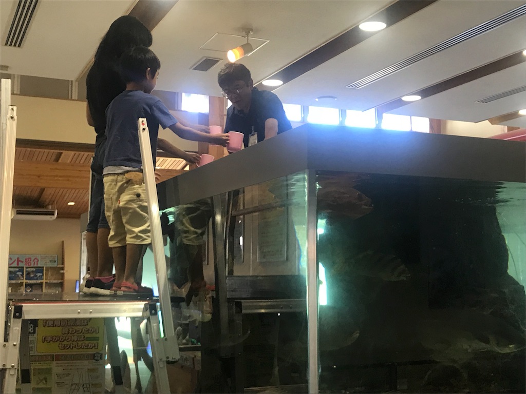 f:id:noburin5213chang:20180716220042j:image