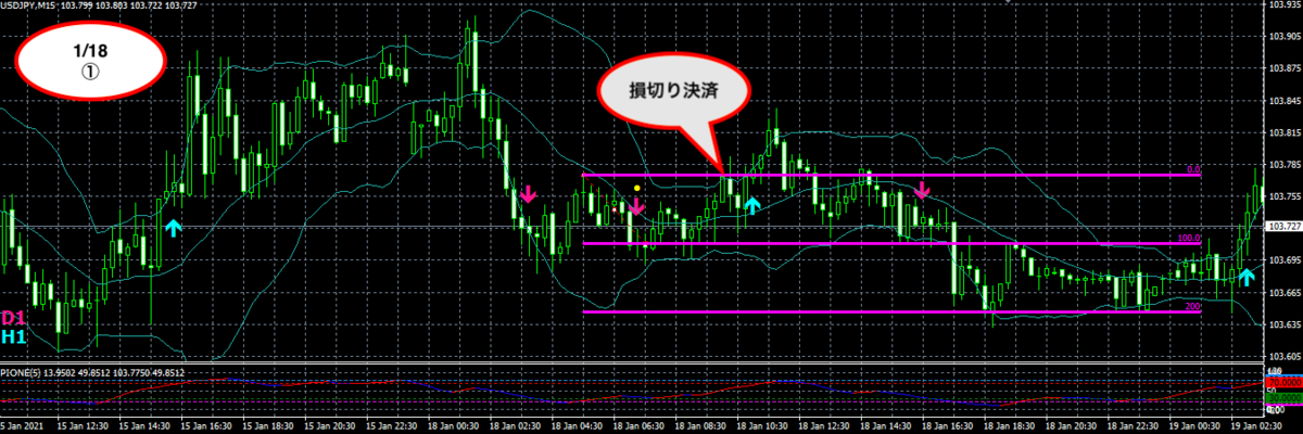 f:id:nobushi-fx:20210123224321p:plain