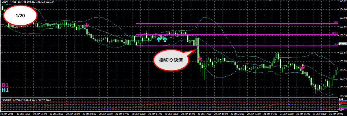 f:id:nobushi-fx:20210123224851p:plain