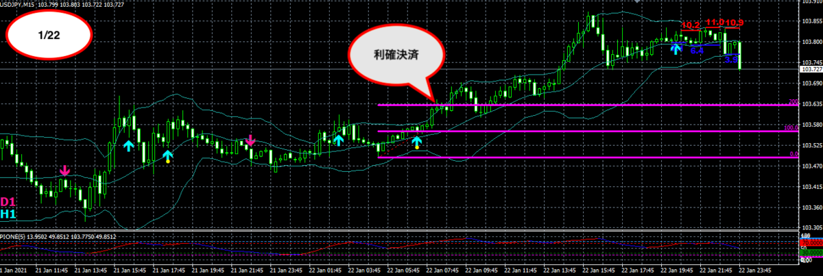 f:id:nobushi-fx:20210123225306p:plain