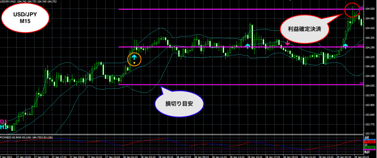 f:id:nobushi-fx:20210129203924p:plain