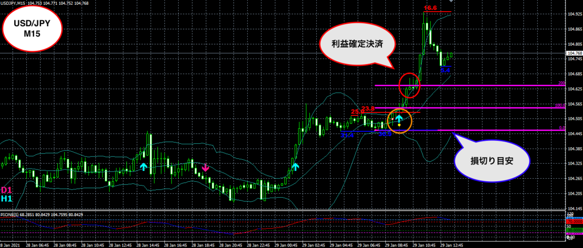 f:id:nobushi-fx:20210129204649p:plain