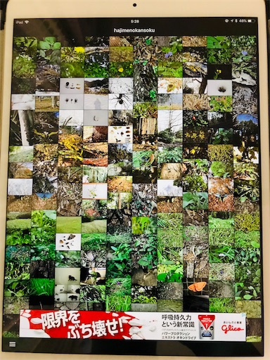 f:id:nobuwell:20180710123338j:image