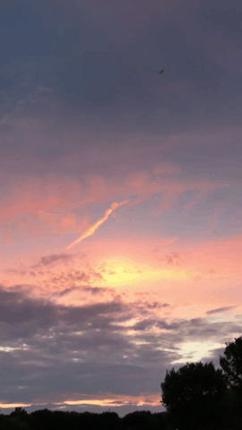 Whitewingsという紙飛行機は予想以上に空を飛ぶから楽しい 0光年軍隊手帳の中身