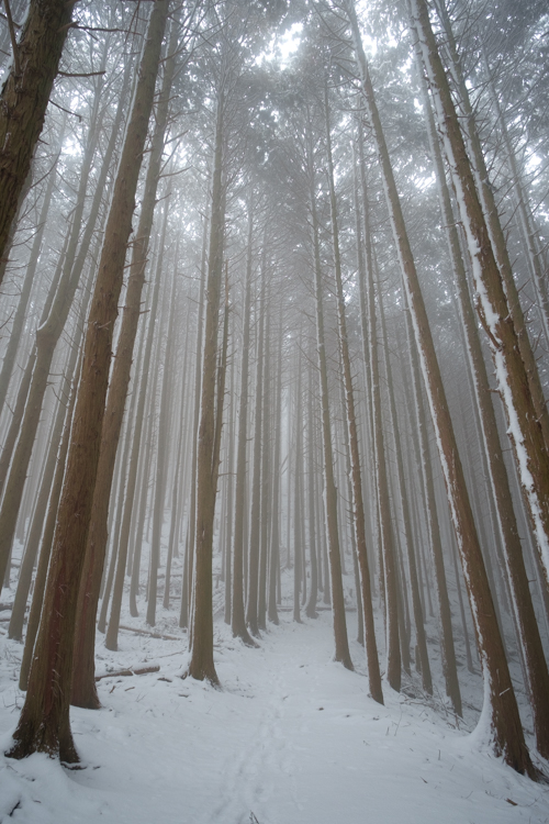 Lightroom霧現像前 Lightroom霧現像前