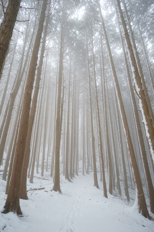 Lightroom霧露光量 Lightroom霧露光量
