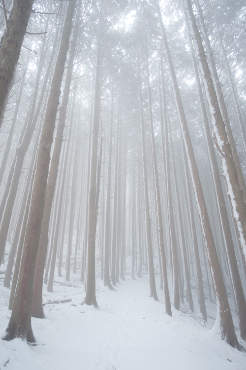 Lightroomかすみの除去 Lightroomかすみの除去