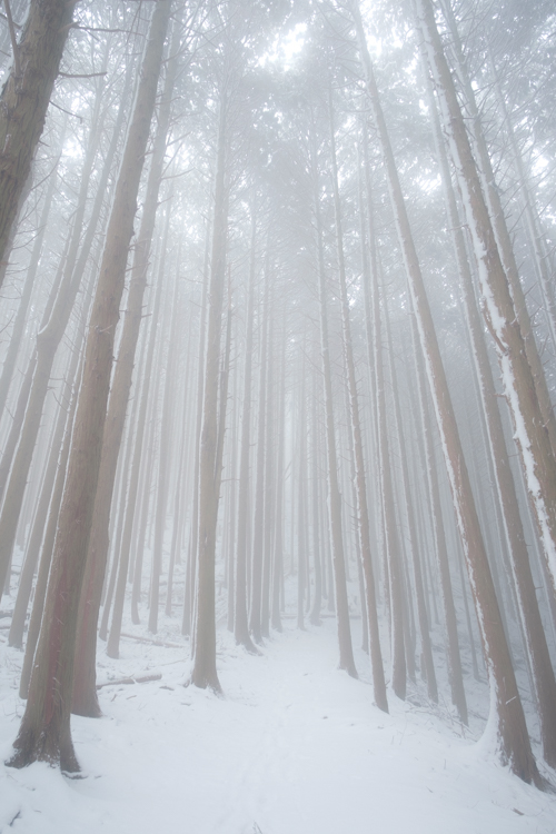 Lightroom霧明瞭度 Lightroom霧明瞭度