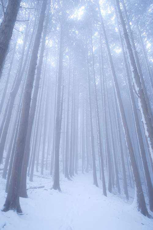 Lightroom霧色温度 Lightroom霧色温度