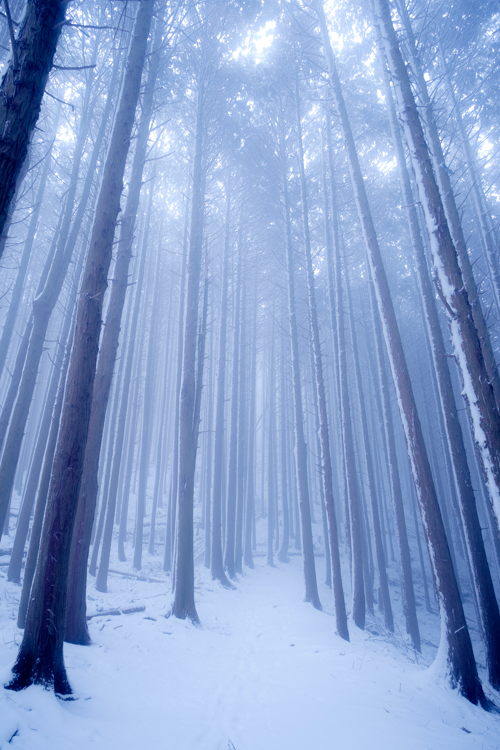 Lightroom霧黒レベル Lightroom霧黒レベル