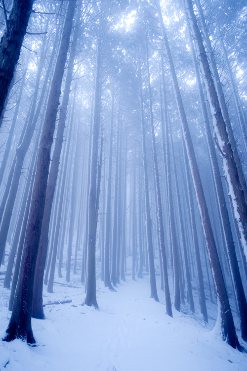 Lightroom霧自然な彩度 Lightroom霧自然な彩度