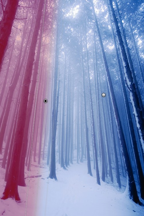 Lightroom霧段階フィルター左側 Lightroom霧段階フィルター左側