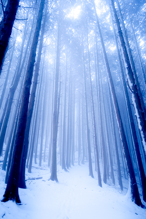 Lightroom霧レンズプロファイル Lightroom霧レンズプロファイル