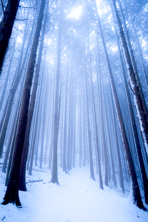 Lightroom霧完成 Lightroom霧完成