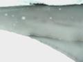 20050304161406
