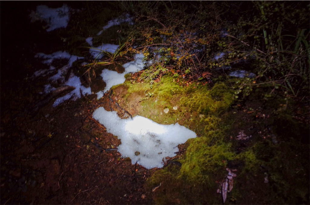 f:id:noca_m:20201011211425j:image