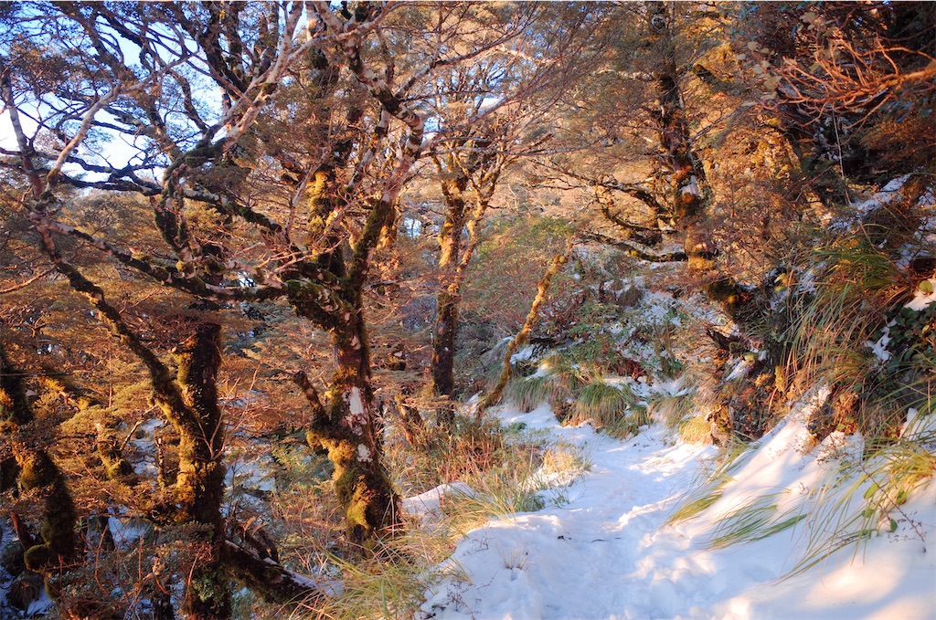 f:id:noca_m:20201011212053j:image
