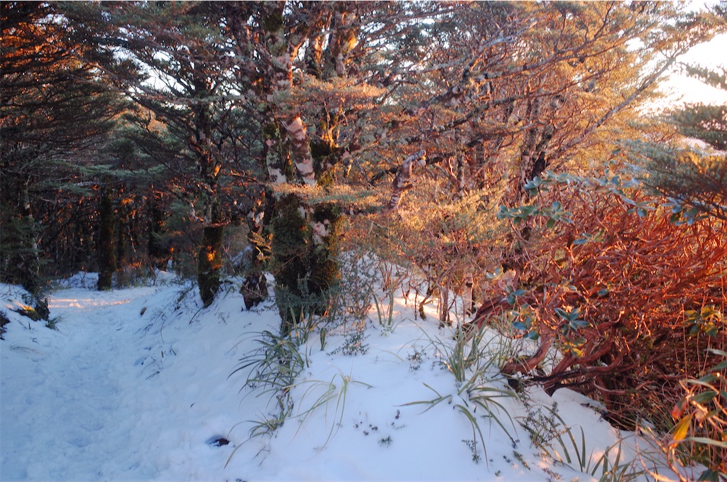 f:id:noca_m:20201011212108j:image