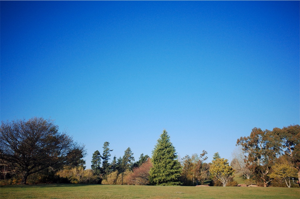 f:id:noca_m:20201012071549j:image