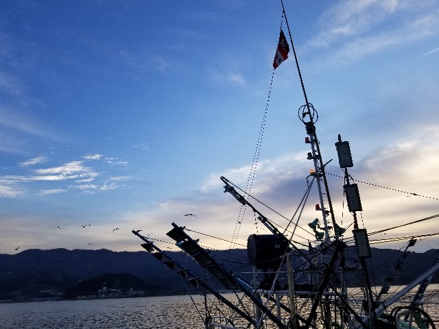 f:id:nochibo3:20191208120108j:image