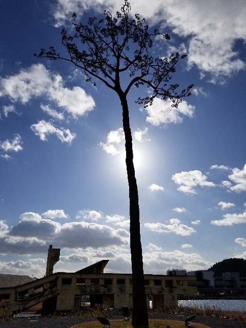 f:id:nochibo3:20191208155357j:image f:id:nochibo3:20191208155357j:image