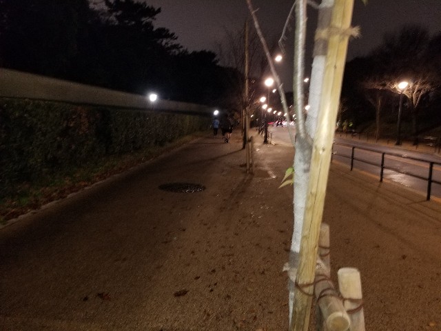 f:id:nochibo3:20191219231111j:image