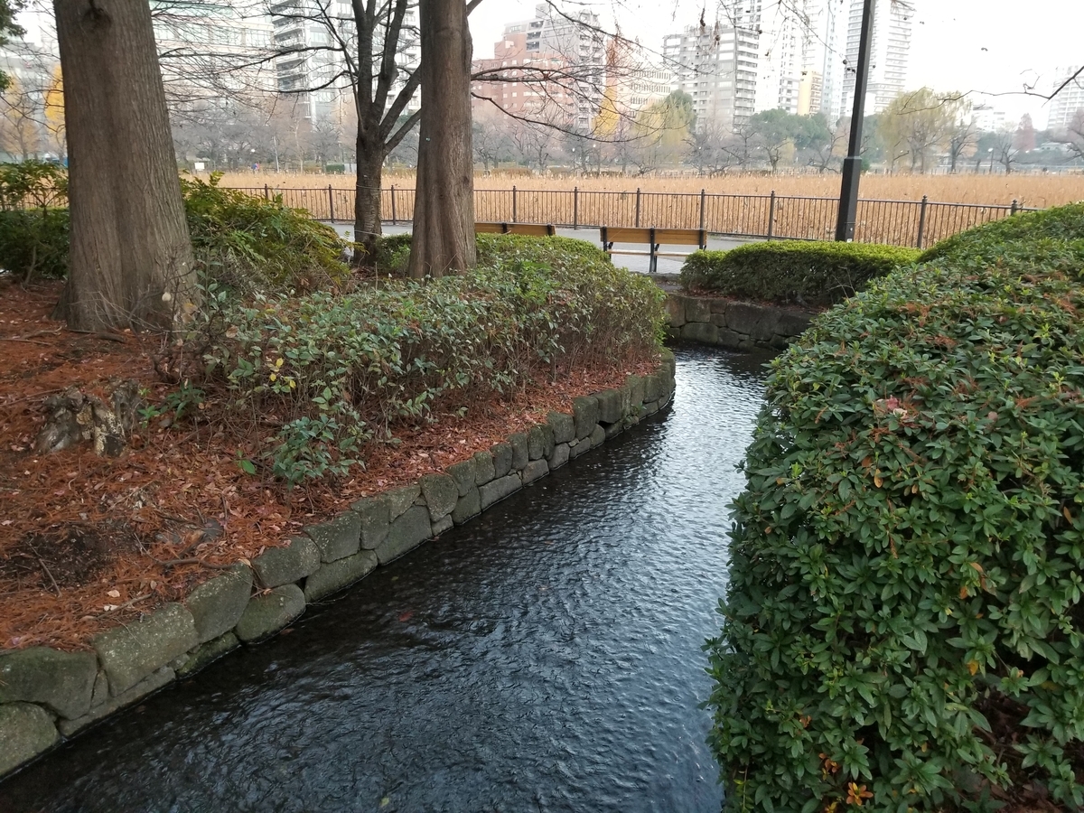 f:id:nochibo3:20191227140148j:plain f:id:nochibo3:20191227140148j:plain